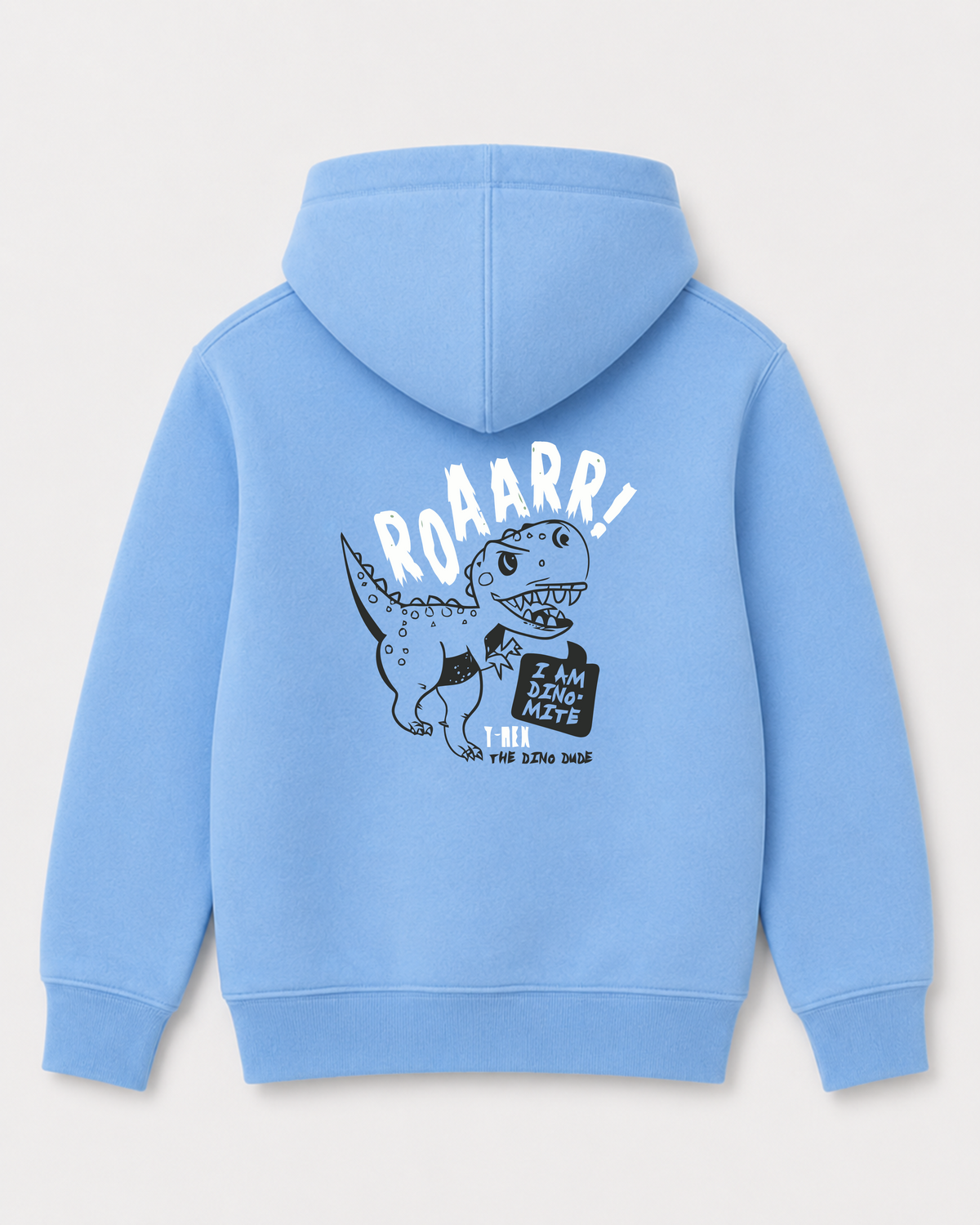 Sky Blue hoodie back 2122