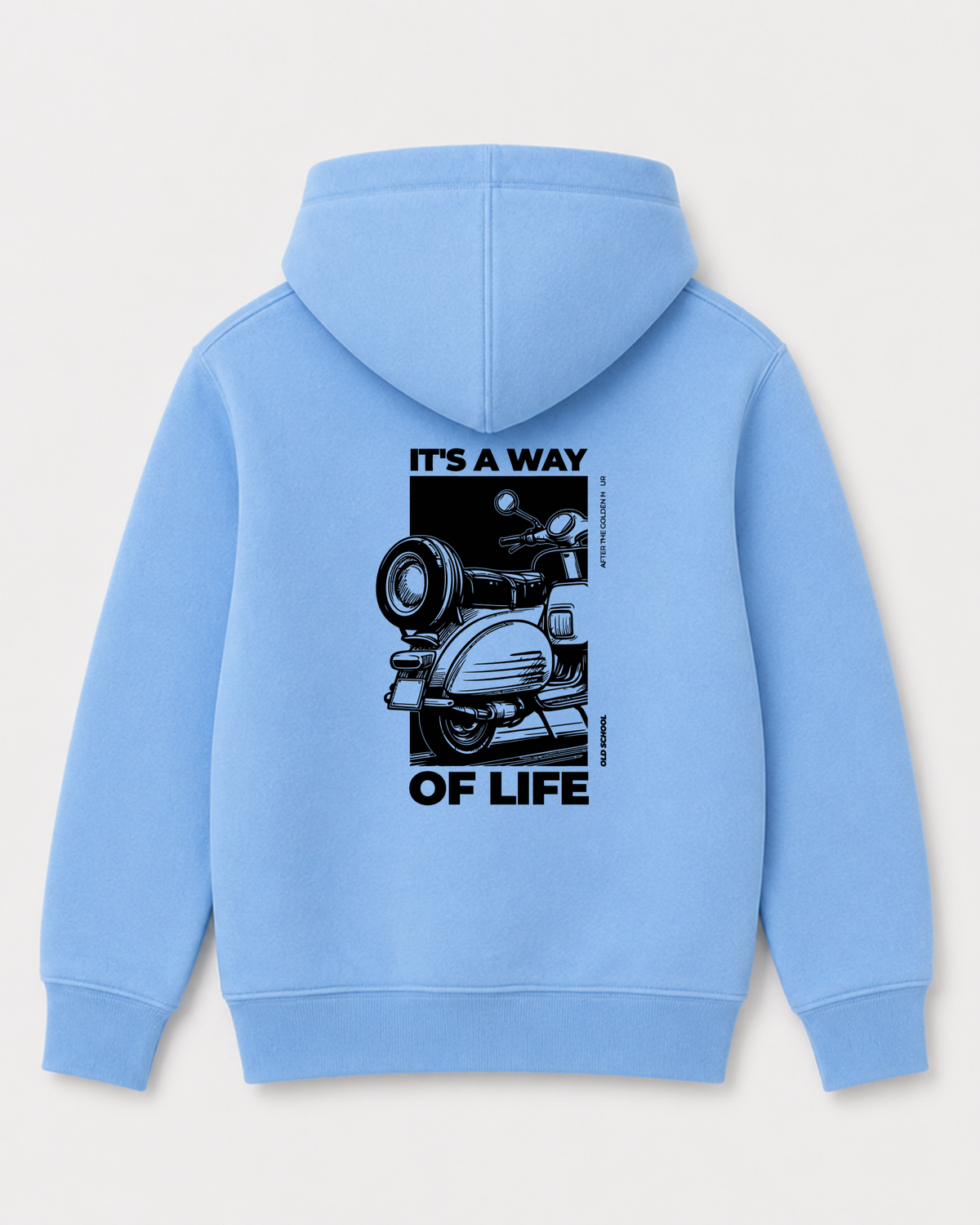 Sky Blue hoodie back 3374