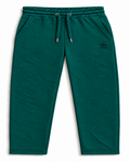 Teal trousers 3752