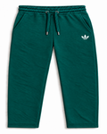 Teal trousers 3757